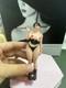 1/12 1/16 1/18 Ponytail Love Girl Model Scene Car Vehicle Toy